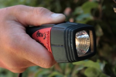 TORCH